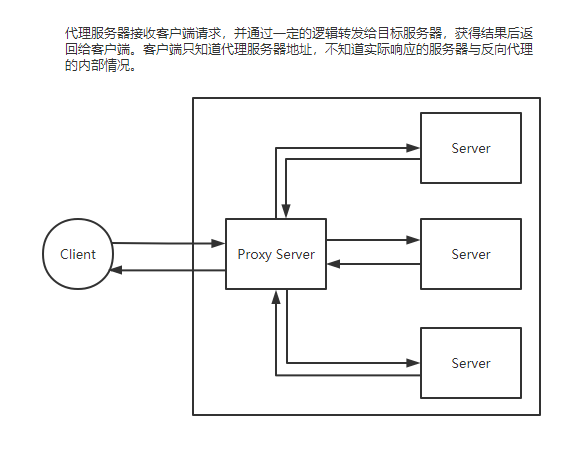 reverse-proxy